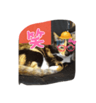 デビルミミシャン（個別スタンプ：4）