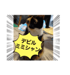 デビルミミシャン（個別スタンプ：7）