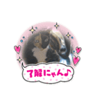 デビルミミシャン（個別スタンプ：8）