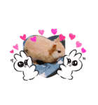 chii'＆Cocoaスタンプ（個別スタンプ：5）