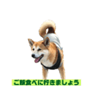 犬、時々飼い主（個別スタンプ：5）