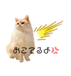 らなたやの日常（個別スタンプ：4）
