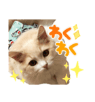 らなたやの日常（個別スタンプ：8）
