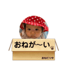 咲楽たんたんたん（個別スタンプ：7）