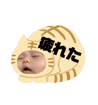 咲楽たんたんたん（個別スタンプ：29）