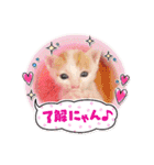 カンナちゃんの地域猫活動専用スタンプ（個別スタンプ：2）
