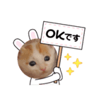 カンナちゃんの地域猫活動専用スタンプ（個別スタンプ：5）