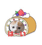 カンナちゃんの地域猫活動専用スタンプ（個別スタンプ：6）
