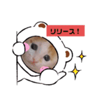 カンナちゃんの地域猫活動専用スタンプ（個別スタンプ：21）
