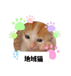 カンナちゃんの地域猫活動専用スタンプ（個別スタンプ：23）