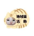 カンナちゃんの地域猫活動専用スタンプ（個別スタンプ：24）