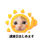 カンナちゃんの地域猫活動専用スタンプ（個別スタンプ：26）