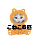 カンナちゃんの地域猫活動専用スタンプ（個別スタンプ：33）