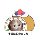カンナちゃんの地域猫活動専用スタンプ（個別スタンプ：35）