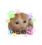 カンナちゃんの地域猫活動専用スタンプ（個別スタンプ：37）