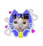 カンナちゃんの地域猫活動専用スタンプ（個別スタンプ：38）