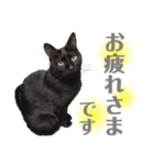おこげとふじ②（個別スタンプ：2）