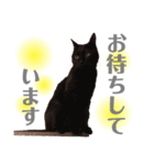 おこげとふじ②（個別スタンプ：5）