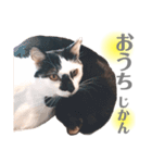 おこげとふじ②（個別スタンプ：9）