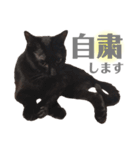 おこげとふじ②（個別スタンプ：10）