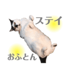 おこげとふじ②（個別スタンプ：11）