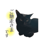 おこげとふじ②（個別スタンプ：13）