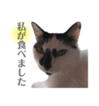 おこげとふじ②（個別スタンプ：14）