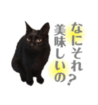 おこげとふじ②（個別スタンプ：15）