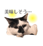 おこげとふじ②（個別スタンプ：16）