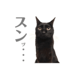 おこげとふじ②（個別スタンプ：34）