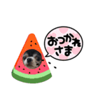 兄弟スタンプ 丈 紳（個別スタンプ：16）