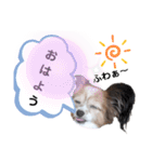 おてんばりん2（個別スタンプ：9）