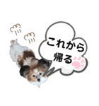 おてんばりん2（個別スタンプ：11）