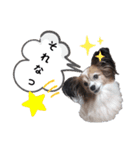 おてんばりん2（個別スタンプ：13）