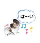おてんばりん2（個別スタンプ：14）