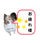 おてんばりん2（個別スタンプ：15）
