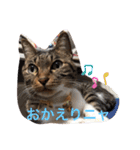 ツンデレ猫サマ（個別スタンプ：37）
