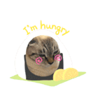 ぶさかわチビちゃん（個別スタンプ：4）