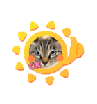 ぶさかわチビちゃん（個別スタンプ：10）