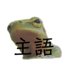 庭のカエル 2（個別スタンプ：12）