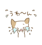 ねこのみーちゃん-よく使う言葉（丁寧）（個別スタンプ：12）