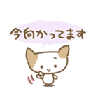 ねこのみーちゃん-よく使う言葉（丁寧）（個別スタンプ：21）