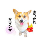 コーギー のイヴくん②（個別スタンプ：4）