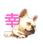 それゆけ！アイちゃん2（個別スタンプ：1）