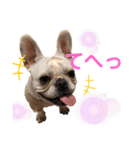 それゆけ！アイちゃん2（個別スタンプ：3）