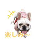それゆけ！アイちゃん2（個別スタンプ：4）
