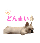 それゆけ！アイちゃん2（個別スタンプ：23）