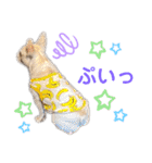 それゆけ！アイちゃん2（個別スタンプ：25）