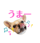 それゆけ！アイちゃん2（個別スタンプ：29）