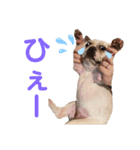 それゆけ！アイちゃん2（個別スタンプ：30）
